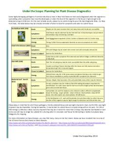    Under the Scope: Planning for Plant Disease DiagnosƟcs Some highly damaging pathogens of common deciduous trees in New York State are most easily diagnosed when the organism is  sporula ng, when