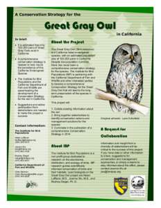 A Conservation Strategy for the  Great Gray Owl In brief:  It is estimated that only[removed]pairs of Great