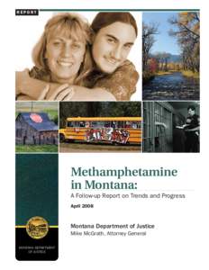 Neurochemistry / Montana Meth Project / Illegal drug trade / Clandestine chemistry / Amphetamine / Faces of Meth / Strawberry Quik meth / Methamphetamine / Pharmacology / Medicine