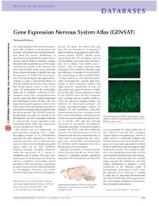 SCALING UP NEUROSCIENCE  DATA B A S E S Gene Expression Nervous System Atlas (GENSAT) © 2004 Nature Publishing Group http://www.nature.com/natureneuroscience