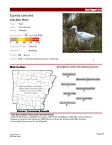 Bird Report E-O  Egretta caerulea 	  Class: