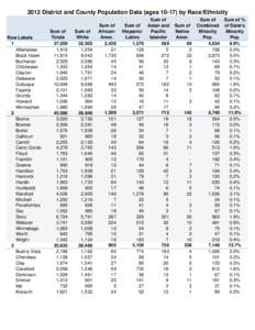 Juvenile County Level Population Data by Race-Ethnicity.xlsx