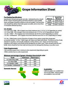 Grape Information Sheet Purchasing Specifications Specifications should state grade and color. Individual bunches should be full. Grapes should be plump and firmly attached to green pliable stems, and grapes should be un