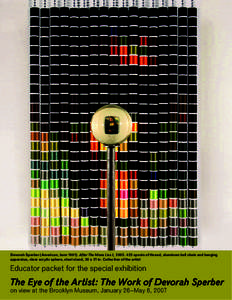 Optics / Sperber / Camera lens / Hockney–Falco thesis / Painting / Pipe / Mona Lisa / Lens / Devorah Sperber / Year of birth missing / Visual arts