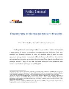 Um panorama do sistema penitenciário brasileiro  Cristina Zackseski1, Bruno Amaral Machado2 e Gabriela Azevedo3 Um dos problemas de maior destaque no Brasil no que se refere à violência institucional é o grande núme