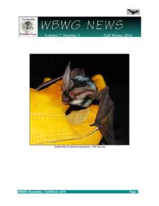 Volume 7, Number 3  Fall/Winter 2014 Spotted Bat (Euderma maculatum) – Bill Doering