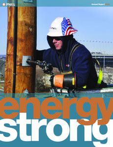 Annual Report 2012  PSEG S  o e