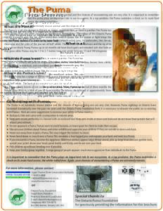 Fauna of South America / Biota / Mammaliaformes / Puma / Deer / Cougar / Puma SE / Boreal woodland caribou / White-tailed deer / Moose / Caribou