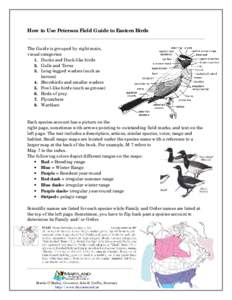 How to Use Peterson Field Guide to Eastern Birds The Guide is grouped by eight main, visual categories: 1. Ducks and Duck-like birds 2. Gulls and Terns 3. Long-legged waders (such as