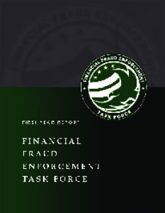 Financial Fraud Enforcement Task Force[removed]Report