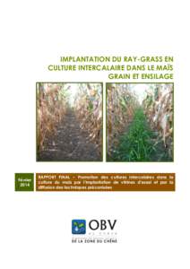 Implantation du ray-grass en culture intercalaire dans le maïs grain et ensilage