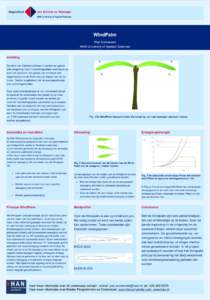WindPalm Piet Sonneveld HAN University of Applied Sciences Inleiding De uitrol van kleinere turbines in parken en gebouwde omgeving roept maatschappelijke weerstand op door het optreden van geluid, het ontstaan van