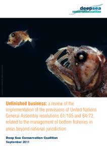 Viperfish © Norbert Wu/MINDEN PICTURES/FLPA  Unfinished business: a review of the implementation of the provisions of United Nations General Assembly resolutionsand 64/72, related to the management of bottom fis
