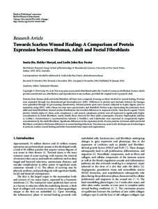 Towards Scarless Wound Healing: A Comparison of Protein Expression between Human, Adult and Foetal Fibroblasts