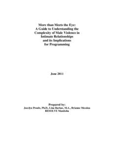 More than Meets the Eye: A Guide to Understanding the Complexity of Male Violence in Intimate Relationships and its Implications for Programming