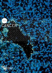 FOCUS  CANCER © URA 1160 CNRS. Photo Nicolas Wernert. Coding gene expression for the Ets1 transcription factor in a kidney carcinoma.