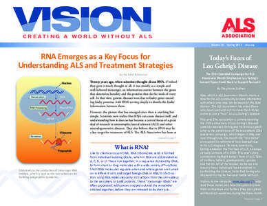 C R E AT I N G A W O R L D W I T H O U T A L S Volume 10 RNA Emerges as a Key Focus for Understanding ALS and Treatment Strategies By Richard Robinson