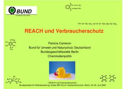 BUND FR E U N DE DE R ER D E REACH und Verbraucherschutz Patricia Cameron Bund für Umwelt und Naturschutz Deutschland