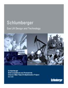 Schlumberger Gas Lift Design and Technology Schlumberger Well Completions and Productivity Chevron Main Pass 313 Optimization Project