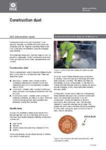 Health and Safety Executive Construction dust  HSE information sheet