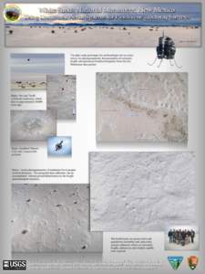 Paleontology / Trace fossils / Archaeology / Footpaths / Trackway / Aerial photography / Aerial survey