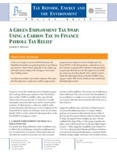 TAX R EFORM , ENERGY AND THE ENVIRONMENT P O