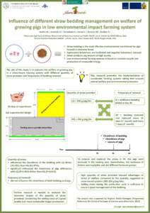 Presentazione standard di PowerPoint