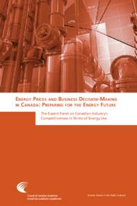 Energy Prices and Business Decision-Making in Canada: Preparing for the Energy Future The Expert Panel on Canadian Industry’s Competitiveness in Terms of Energy Use  Science Advice in the Public Interest