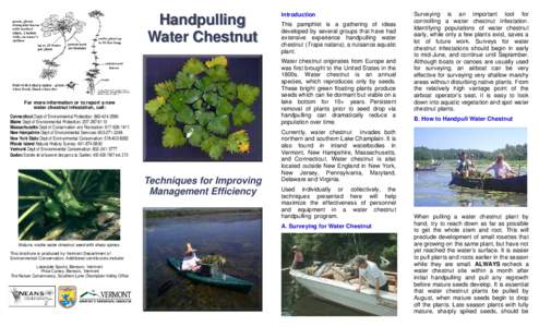 handpulling brochure2.pub