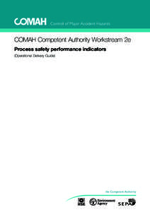 COMAH Competent Authority Workstream 2e - Process safety performance indicators