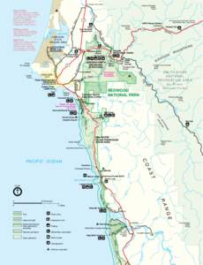 Flora of the United States / Geography of California / Northern California / Jedediah Smith Redwoods State Park / Sequoia sempervirens / Del Norte County /  California / Redwood National and State Parks / California state parks / Old growth forests