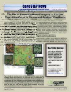 Issue 19, Summer[removed]The Use of Remotely-Sensed Imagery to Analyze Vegetation Cover in Pinyon and Juniper Woodlands April Hulet, Bruce A. Roundy, Steven L. Petersen, Ryan R. Jensen, and Stephen C. Bunting Land managers