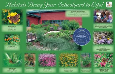 Habitats Bring Your Schoolyard to Life! Stonehouse Elementary School in Williamsburg, Virginia transformed an entire courtyard into a Schoolyard Habitat photo by Jan Newton