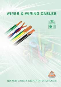 450[removed]VOLTS - Copper conductor PVC insulated SSA 1320, IEC 60227 & BS 6004 HO 7V - U With Solid Conductor - TYPE[removed]IEC 01 RIYADH CABLES  For internal wiring of equipment rated voltage up to 1000 V AC and up to 7