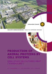 FACULTEIT DIERGENEESKUNDE / FACULTY OF VETERINARY MEDICINE  PRODUCTION OF