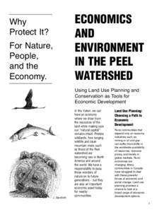 Economics and Environment in the Peel Watershed