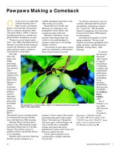 Pawpaws Making a Comeback  O ne day soon you might find satellite germplasm repository to the