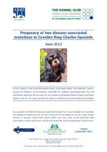 Frequency of two disease-associated mutations in Cavalier King Charles Spaniels June 2012