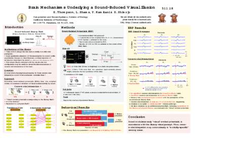 Brain Mechanisms Underlying a Sound-Induced Visual Illusion S. Thompson, L. Shams, Y. Kamitani & S. Shimojo Email: [removed] [removed] URL: http://neuro.caltech.edu