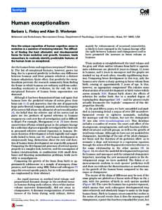 Spotlight  Human exceptionalism Barbara L. Finlay and Alan D. Workman Behavioral and Evolutionary Neuroscience Group, Department of Psychology, Cornell University, Ithaca, NY 14853, USA