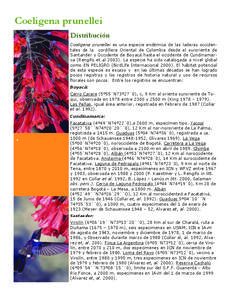 Coeligena prunellei Distribución Coeligena prunellei es una especie endémica de las laderas occidentales de la cordillera Oriental de Colombia desde el suroriente de