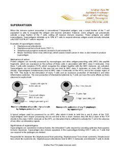 SUPERANTIGEN When the immune system encounters a conventional T-dependent antigen, only a small fraction of the T cell population is able to recognize the antigen and become activated. However, some antigens can polyclonally