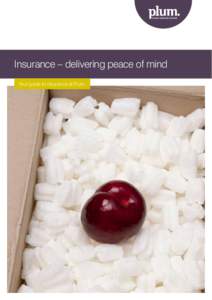 Insurance – delivering peace of mind Your guide to insurance at Plum Contents Why insurance matters