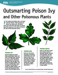 Consumer Health Information www.fda.gov/consumer Outsmarting Poison Ivy and Other Poisonous Plants