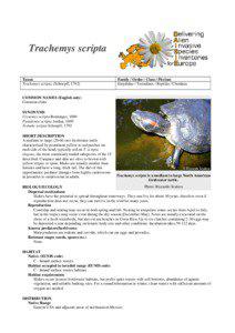 Trachemys scripta Taxon Trachemys scripta (Schoepff, 1792)