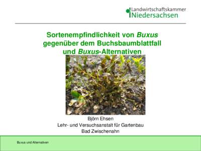Sortenempfindlichkeit von Buxus gegenüber dem Buchsbaumblattfall und Buxus-Alternativen Björn Ehsen Lehr- und Versuchsanstalt für Gartenbau
