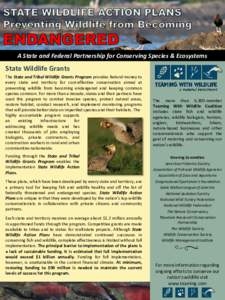 Ecology / Conservation / The Wildlife Society / National Wildlife Federation / Wildlife conservation / Wildlife management / Conservation biology / National Wild Turkey Federation / Arizona Game and Fish Department / Biology / Environment / Wildlife