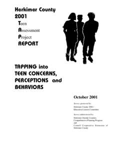 Herkimer County 2001 Teen Assessment Project REPORT