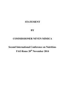 STATEMENT  BY COMMISSIONER NEVEN MIMICA