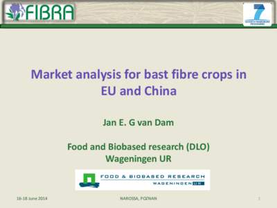 Market analysis for bast fibre crops in EU and China Jan E. G van Dam Food and Biobased research (DLO) Wageningen UR